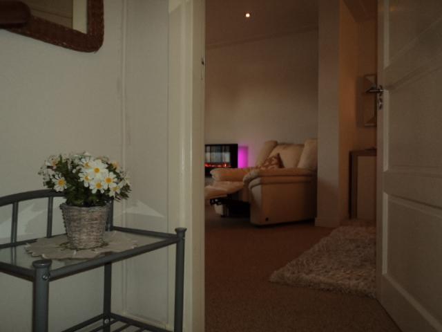 B&B Bosscheweg Tilburg Exterior photo